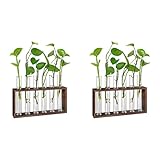 TAMOSH 2X Pflanzen Terrarium mit Ständer, Tisch-/Wandbehang, Vermehrung Station für Lebende Pflanzen, Pflanze Gefäße, Glas RöHrchen, Hydroponisch