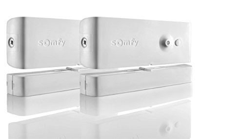 Somfy 2400930 - Funk-Öffnungsmelder im Doppelpack; zur Absicherung von Fenster und Türen, für Protexiom und Protexial Alarmanlage, weiß