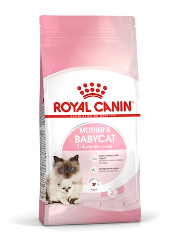 Royal Canin 55171 Mother & Babycat 4 kg- Katzenfutter