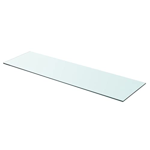 GeRRiT Regalboden Glas Transparent (Color : Transparent, Size : 90 x 25 cm (L x B))