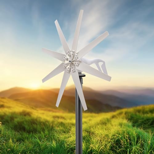 HUIZHITENGDA 400 -W Windmühlenwindturbine Kostenloser Energiegenerator Kit 48 V 24 V 12 V Windkraftanlage Ladung Controller Für Wohnkabine Oder Hauswindsystem (Weiß),12v