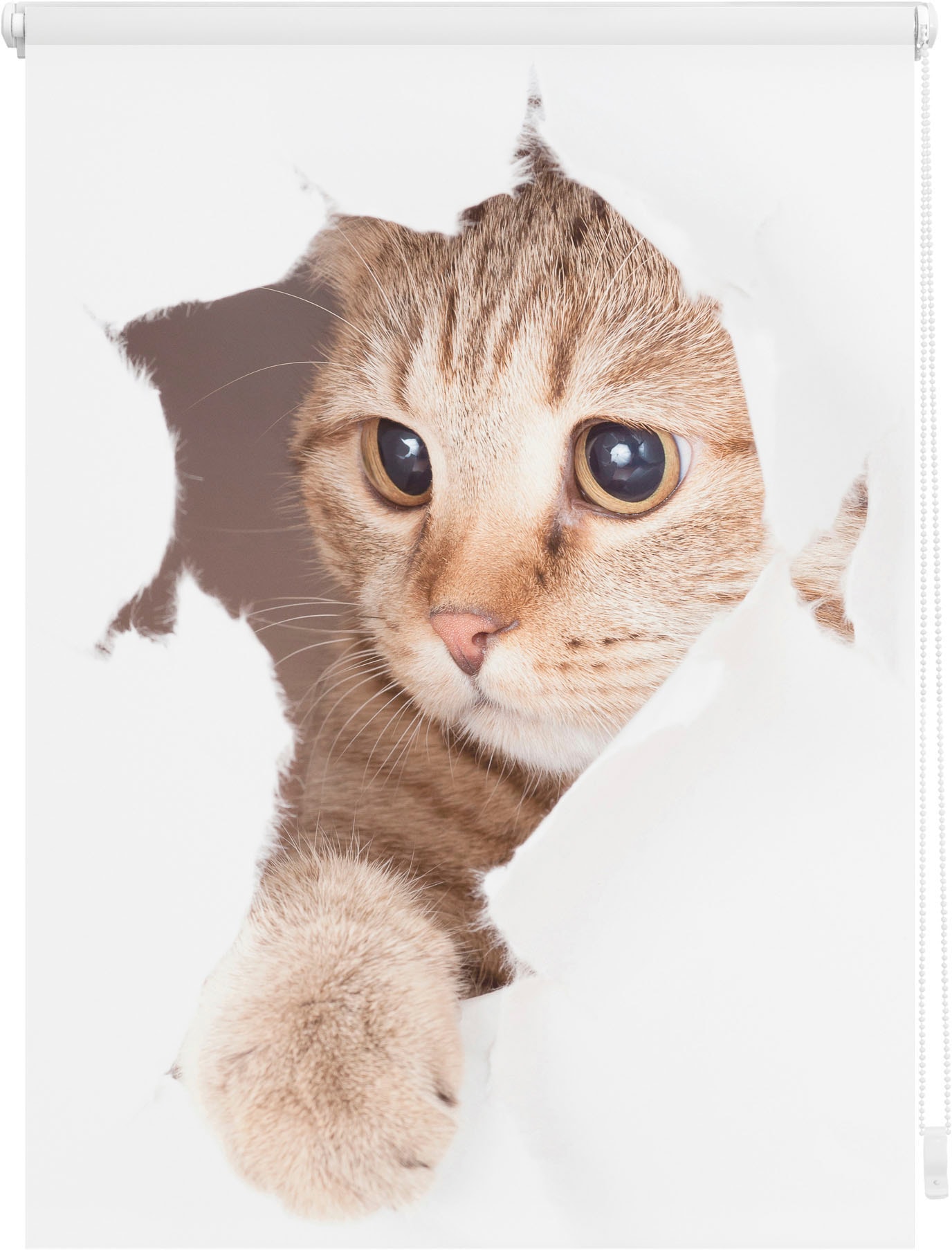 LICHTBLICK ORIGINAL Seitenzugrollo "Klemmfix Digital Katze", verdunkelnd, energiesparend, ohne Bohren, freihängend