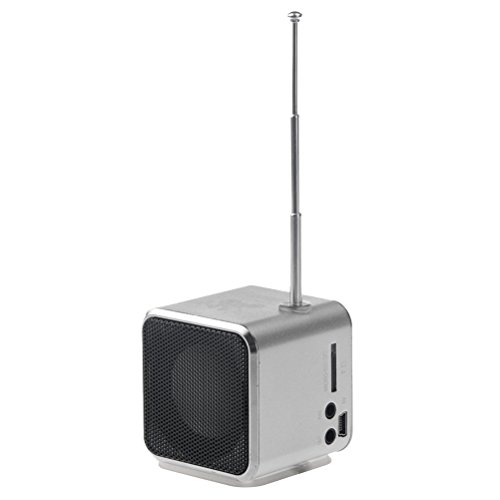 UKCOCO Tragbarer Mini-Lautsprecher mit digitalem Musik-Player, unterstützt Micro SD/TF-Karte mit FM-Radio (Silber)