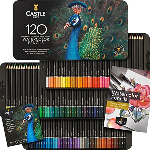 Castle Art Supplies 120 Aquarellstifte-Set | Leuchtende Pigmente | Zeichnen und Malen zugleich | Für fortgeschritten, professionelle Künstler I Geschützt und sortiert in einer Präsentationsbox