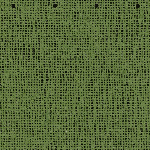 friedola Vorzeltteppich Aero-Tex grün 250 x 500 cm