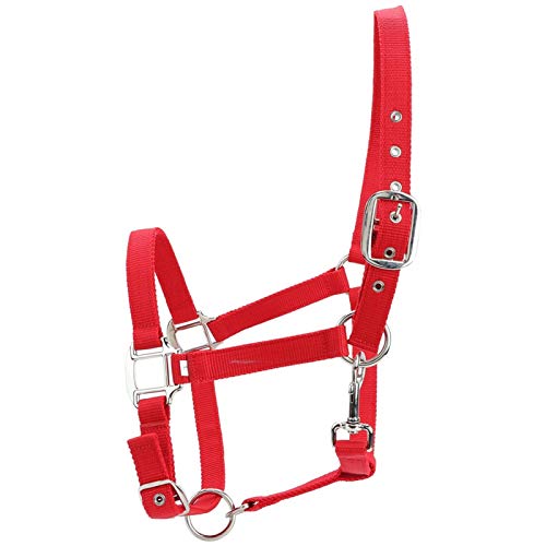 Voluxe Pferdezaumzeug, hochzuverlässiges Schnallendesign 1 PCS Rot Verstellbares Pferdehalfter, 6 mm Dicke PP Reiten für Pferde