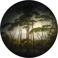 Fototapete Vliestapete Rund Schirmkiefern mit Vignettierung Kunst Wald Bäume Natur Landschaft verdunkelt inkl. Schablone