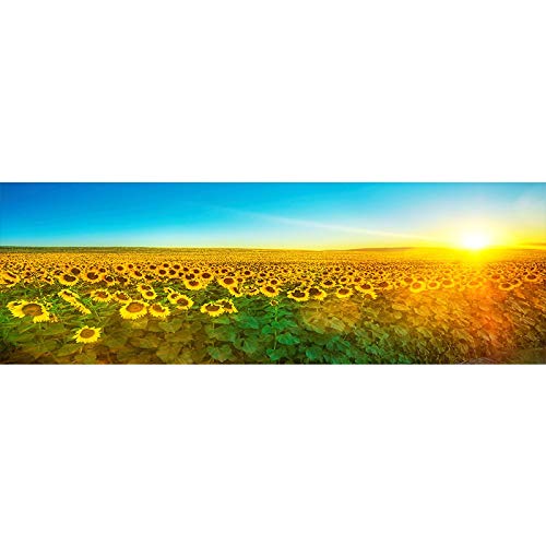 Landschaft HD Sonnenblume Sonnenaufgang Leinwand Malerei Poster und Drucke   Wandkunst Bilder Home Decoration 60X180cm rahmenlos
