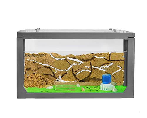 AntHouse - Natürliche Ameisenfarm aus Sand | 3D Starter Set 20x10x10 cm Grau | Einschließlich Ameisen