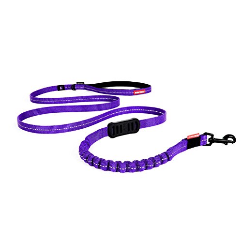 EzyDog Zero Shock Lite Hundeleine für Kleine Hunde - 120cm 180cm - Reflektierende für Maximale Sicherheit - Elastische Leine mit Bungee Ruckdämpfer (180cm, Violett)