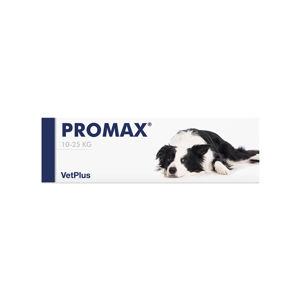 Vetplus Promax - Large Breed - 30 ml 5