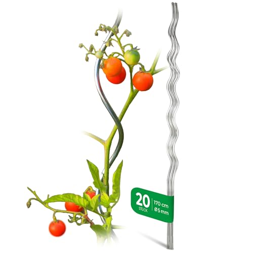Novatool 20 Tomatenstäbe | 5 mm x 1700 mm | Tomatenspiralstäbe verzinkt | Rankstäbe Rankhilfe Blumenhalter Pflanzstäbe