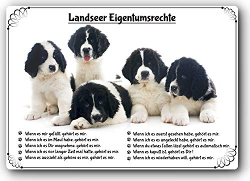 Merchandise for Fans Blechschild/Warnschild/Türschild - Aluminium - 30x40cm Eigentumsrechte Motiv: Landseer schwarz/weiß - 01
