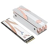 SABRENT M.2 NVMe SSD 1TB mit Kühlkörper Gen 4, Internes Solid State 4700 MB/s Lesen, PCIe 4.0 2280, intern festplatte High Performance kompatibel mit PCs, NUCs Laptops und desktops (SB-RKTQ4-HTSS-1TB)