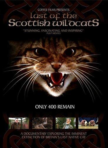 The Last Of The Scottish Wildcats [DVD]