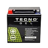 TECNO GEL Motorrad-Batterie YTX14-BS, 12V Gel-Batterie 14Ah (DIN 51214), 151x87x145 mm inkl. Pfand