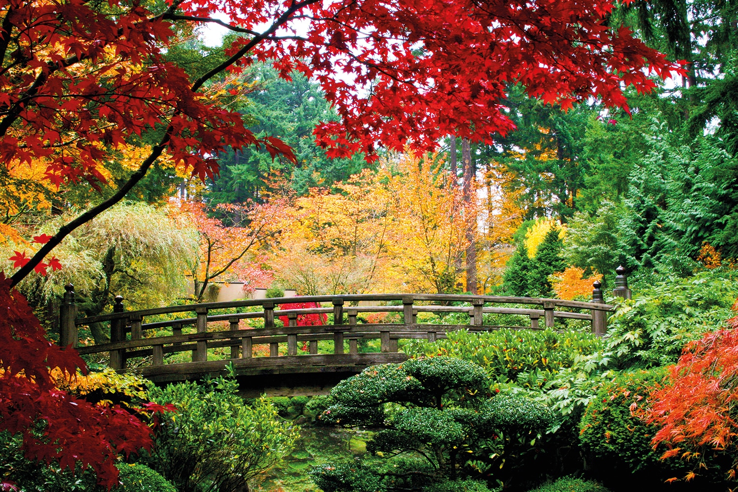 Papermoon Fototapete "Bridge in Japanese Garden"