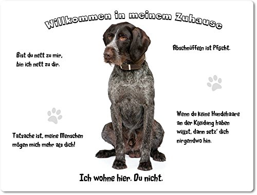 Merchandise for Fans Blechschild/Warnschild/Türschild - Aluminium - 30x40cm - - Willkommen in Meinem Zuhause - Motiv: Deutsch Kurzhaar Porträt - 03