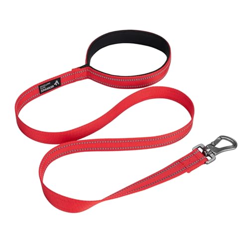 Hundeleine, reflektierend, für Welpen, verstellbare Hundeleine, bequemes kurzes Seil (Farbe: Rot, Größe: 2,5 cm)