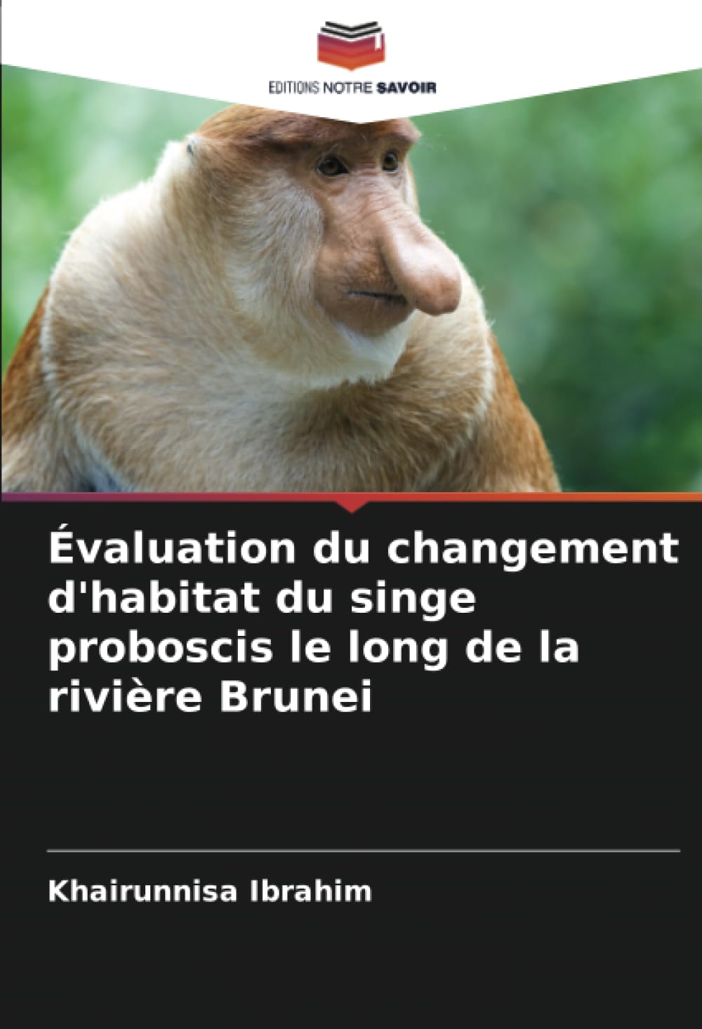 Évaluation du changement d'habitat du singe proboscis le long de la rivière Brunei