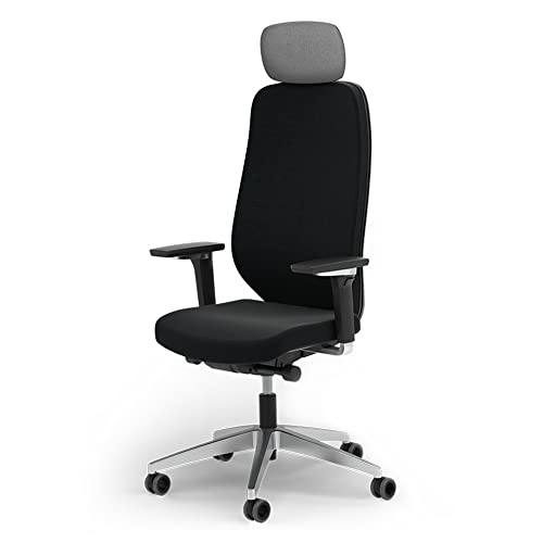 Ergotopia® MasterBack Executive ergonomischer Bürostuhl mit 3D Neigungsmechanik - bequemer Schreibtischstuhl für Arbeitszimmer & Büro mit Lordosenstütze, Synchronmechanik & verstellbaren 5D Armlehnen