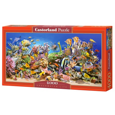 Castorland Unterwasserleben 4000 Teile Puzzle Castorland-400089 2