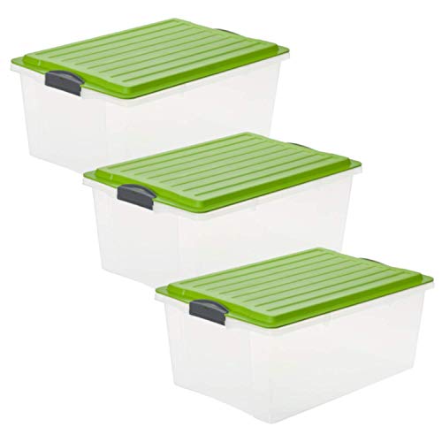 Rotho Compact 3er-Set Aufbewahrungsbox mit Deckel 38 l, Kunststoff, 3 x 38 Liter/grün