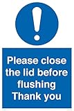 Schild mit Aufschrift "Please close the lid before flushing Thank you", 400 x 600 mm, A2P