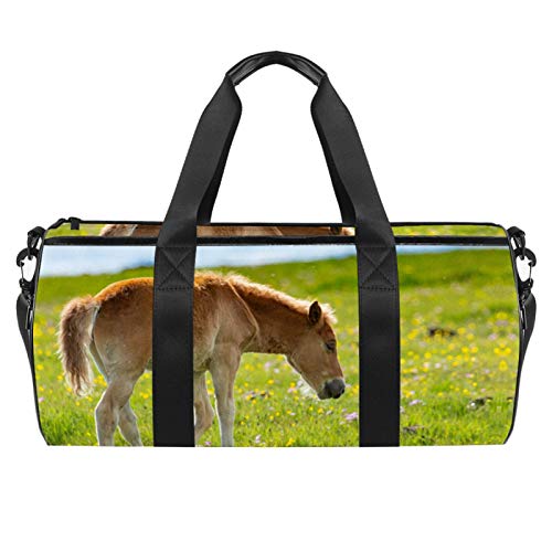 Xingruyun Sporttasche Kinder Gras Pferd Badetasche Gym Tasche schwimmtasche Schultertaschen Reisetasche Urlaubstasche klein Fitnesstasche Sport-Taschen für Mädchen Jungen 45x23x23cm