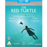 The Red Turtle (Doubleplay) [Blu-ray + DVD] [2017]
