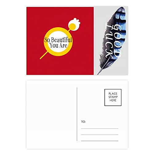 Fools Praised Played Beautiful Lucky Feather Postkarten-Set, Dankeskarte, Versandseite, 20 Stück