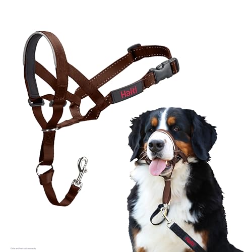 HALTI Halfter - um zu verhindern, DASS Ihr Hund an der Leine zieht Verstellbar, reflektierend und leicht, mit gepolstertem Nasenband, Hundetraining Anti-Zug Halsband für große Hunde (Größe 4, Deep