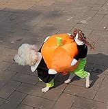 YiZYiF Hund tragen Kürbis Kostüm/Piratenkostüm komische Kleidung Katze Haustier Hundekostüm S-2XL (X-Large, Kürbis Kostüm)