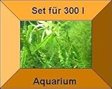 Mühlan Topartikel- 15 Töpfe + 15 Bund Wasserpflanzen, Aquarienpflanze, Komplettbepflanzung für größere Aquarien