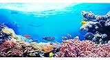 AWERT Unterwasser-Aquarium-Hintergrund, 182,9 x 45,7 cm, bunt, Koralle, tropische Fische, Unterwasserwelt, Vinyl