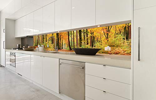DIMEX LINE Küchenrückwand Folie selbstklebend HERBSTWALD 350 x 60 cm | Klebefolie - Dekofolie - Spritzschutz für Küche | Premium QUALITÄT