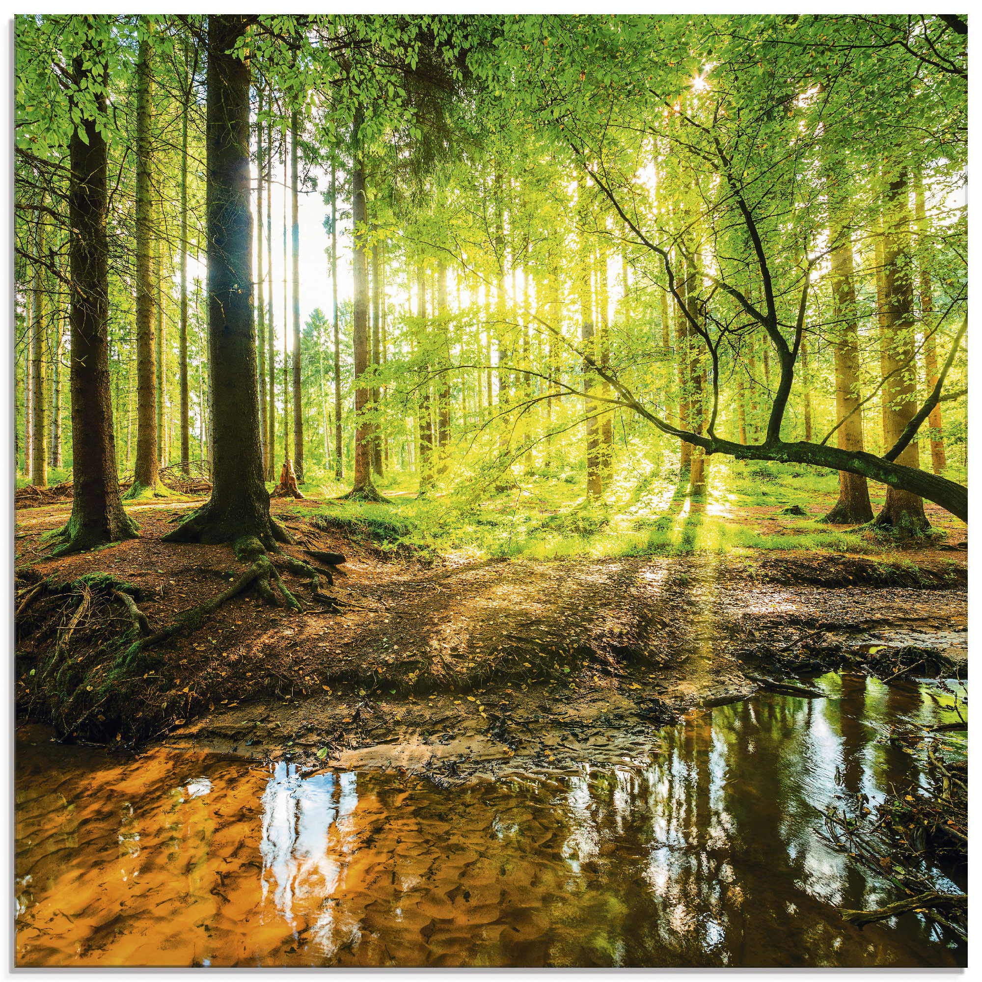 Glasbilder Wandbild Glas Bild einteilig 20x20 cm Quadratisch Wald Natur Landschaft Bäume Bach Sonne Frühling T9IO ARTland