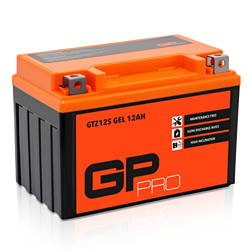 GP-Pro , 12 V 12 Ah GEL-Batterie (Typ GTZ12S)