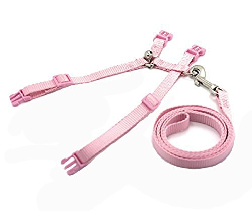 AF-WAN Verstellbare Haustier Hund Katze Kaninchen Polka Walking Harness Blei Set und Zügel für Outdoor Running und Walking (Pink)