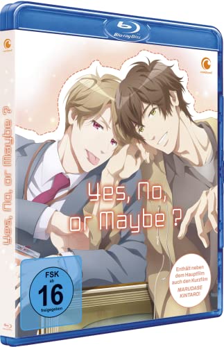 Yes, No, or Maybe? - The Movie - [Blu-ray]