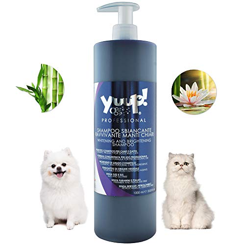 Yuup!® Professionelles Farbpflege-Hundeshampoo für weißes Fell Variante (Volumen) 1 Liter Flasche