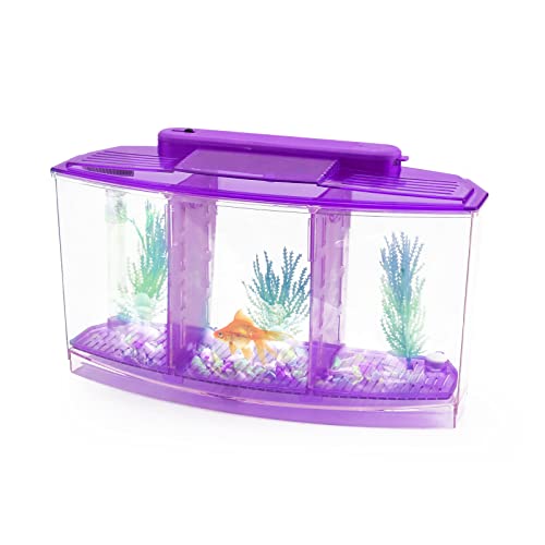 iFCOW Acryl-Fischtank, Betta Bow Aquarium mit 6 LEDs