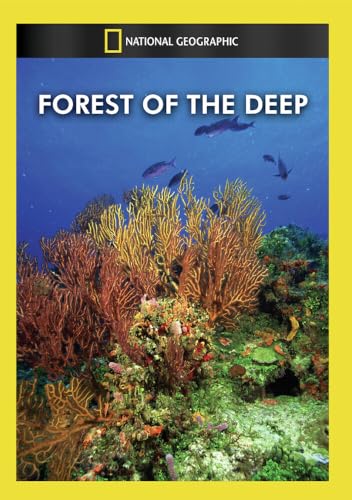 Forest Of The Deep / (Ntsc) [DVD] [Region 1] [NTSC] [US Import]