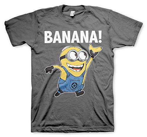 MINIONS Offizielles Lizenzprodukt Banana! Herren T-Shirt (Dark Grau), XL