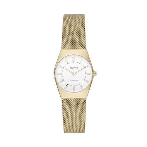 Skagen Watch SKW3077