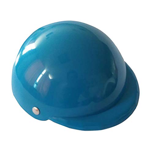 Z-LIANG Pet Products Katze Spielzeug Haustierspielzeug Helm Spielzeug, die Hundekostüme Zubehör Hübscher Bikerhut niedlich & lustiges Haustierspielzeug Helm (Color : Blue, Size : L)