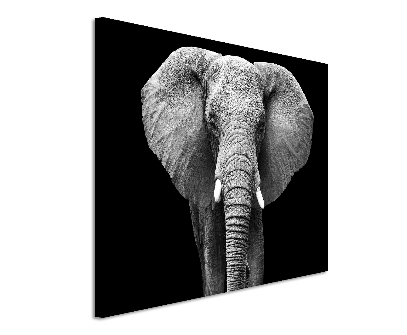 Unique Fotoleinwand 120x80cm Tierbilder – Großer Elefanten von vorne schwarz weiß
