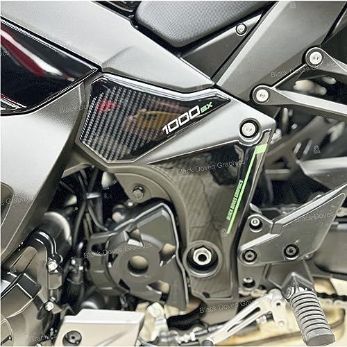 3D Harzaufkleber Protektoren kompatibel mit Kawasaki Ninja 1000 SX 2020-2022 (Motorschutz)