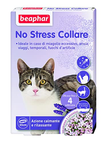 Beaphar Kein Stress, beruhigendes Baldrian-Halsband für Katzen, reduziert Stress und Verhaltensprobleme, 1 Halsband 35 cm