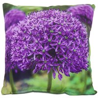 Outdoor Kissen Allium Lila Blume Gartenkissen Wasserabweisend 50 x 50 cm